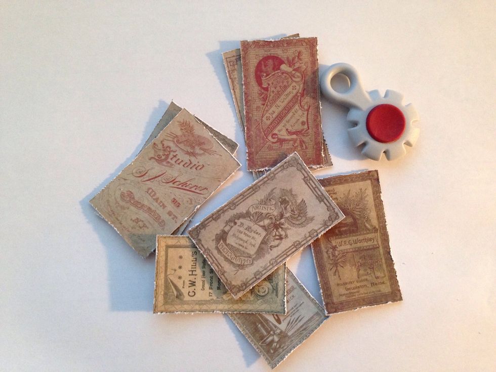 Distressed the edges of the pattern paper.