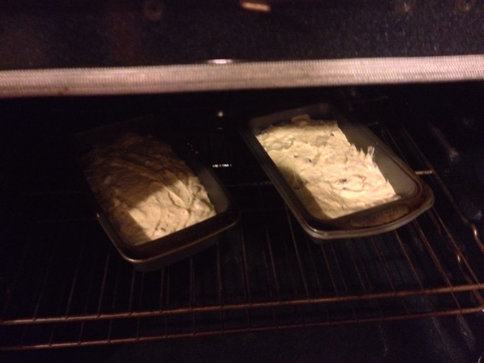 Divide into two greased loaf pans. Bake at 325\u00b0F for 1 hour. It is done when a toothpick inserted in the middle of the top comes out clean. I start checking around 55min.