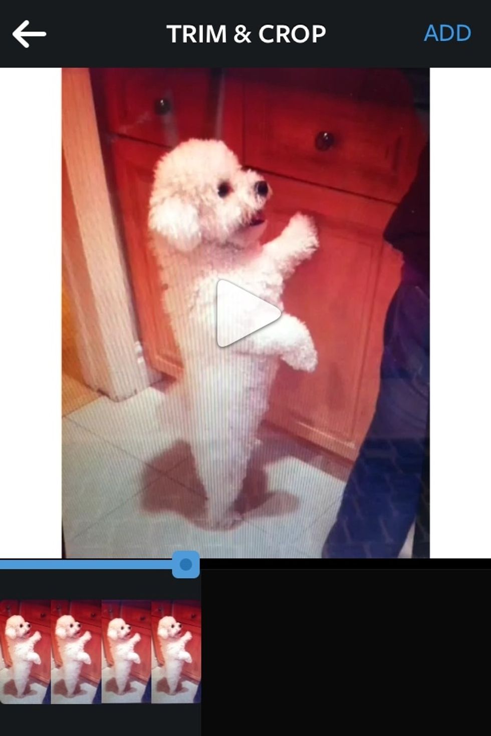 Do any Instagram video editing you like