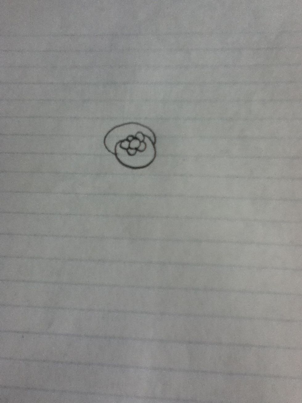 Do it again but around the top!! Almost like poofy hair :P