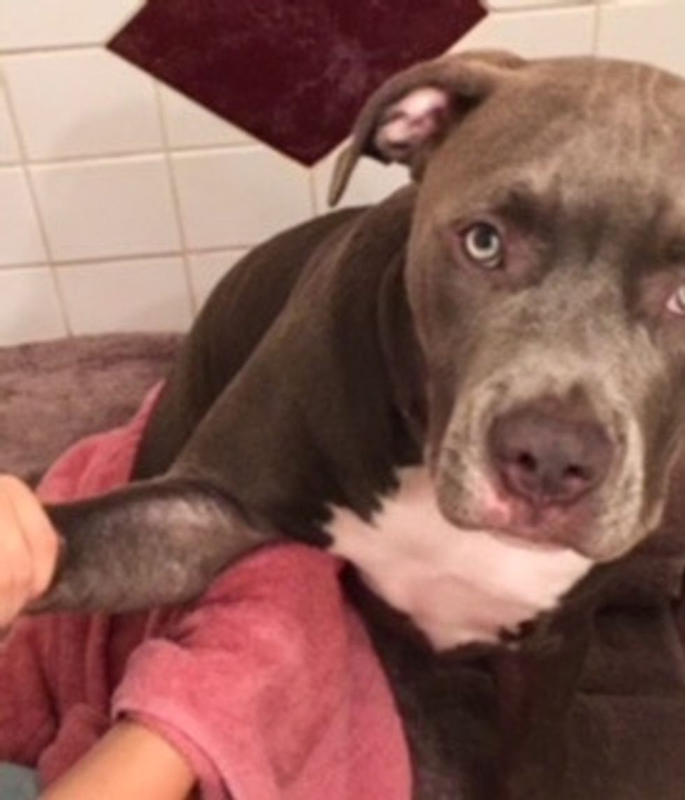 Do not forget to underneath the arms and legs!