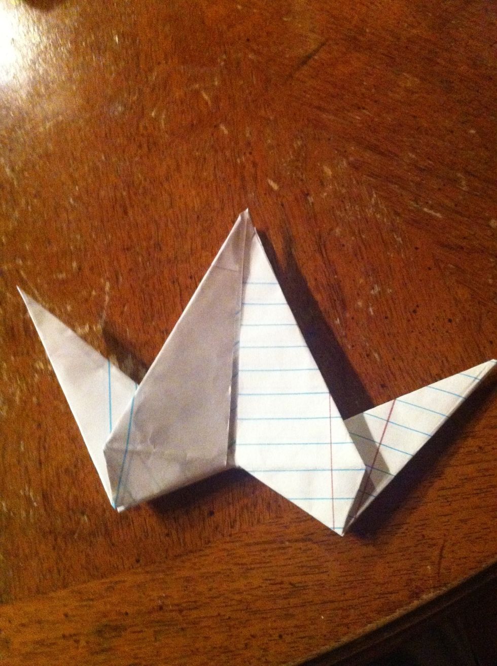 Do the same on the other side. It should look like this