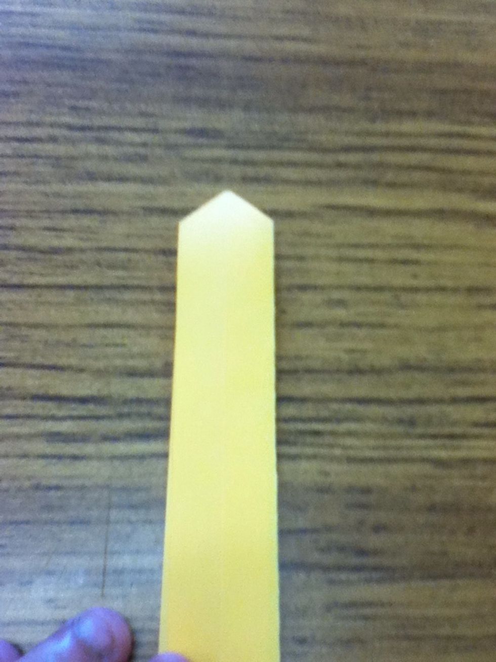 Do the same pocket fold to the other corner