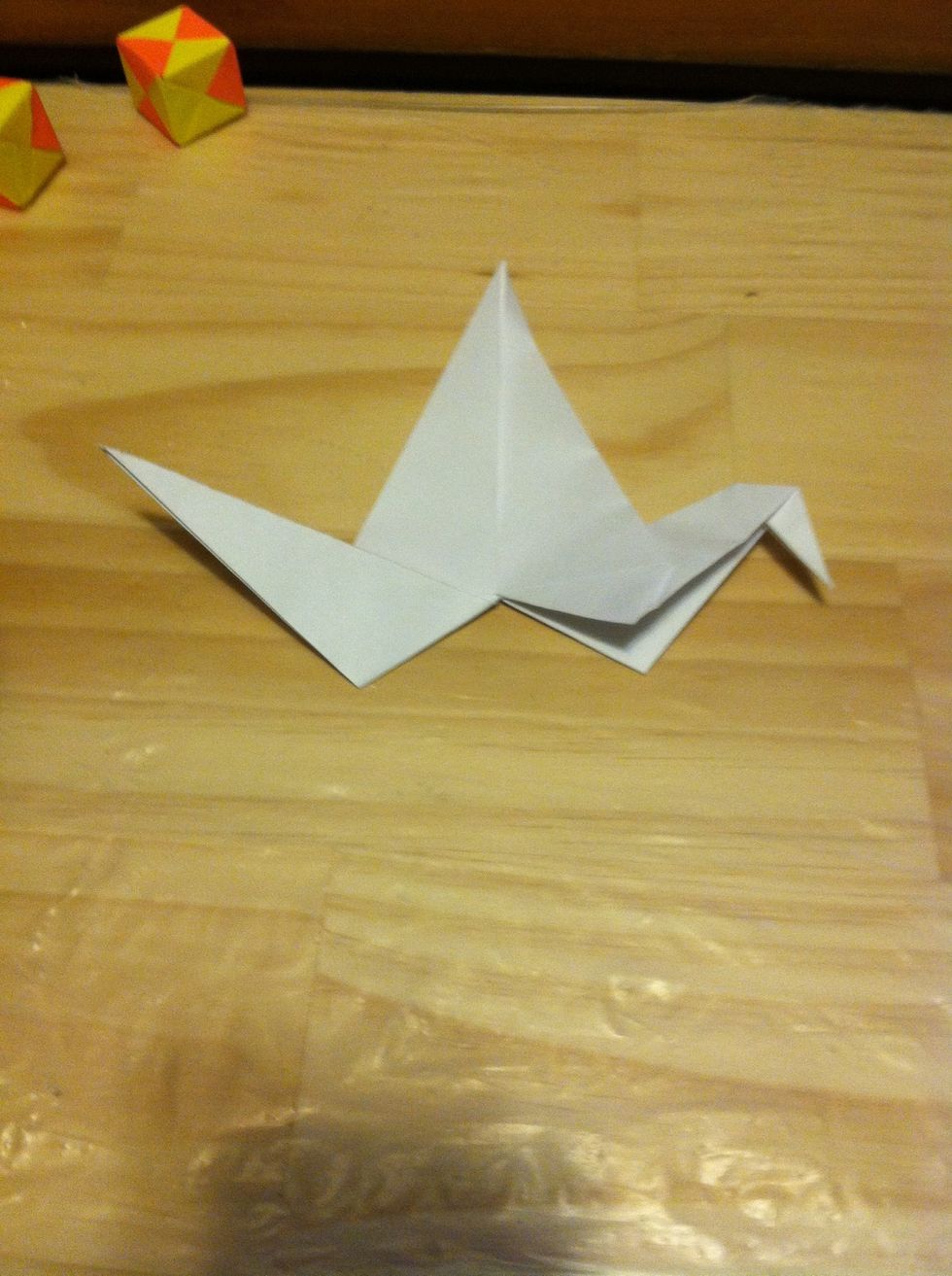 Do the same thing on the left side as you did with the right, but don't make another head.