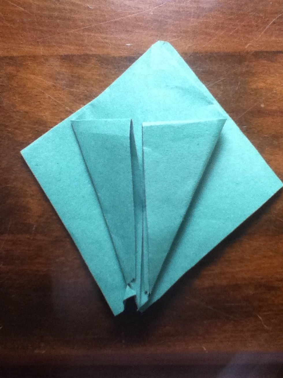 Do the same to the other side and then fold the flaps towards the middle.