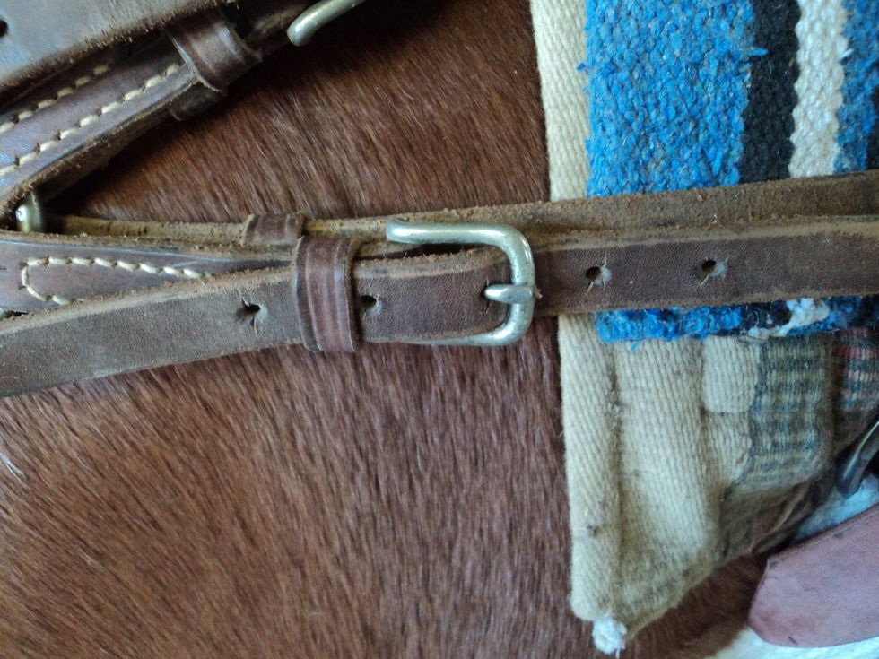 Do the same to the second breast strap and buckle it.