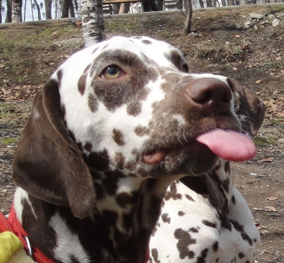 Do this for all who didn't believe in your success;)