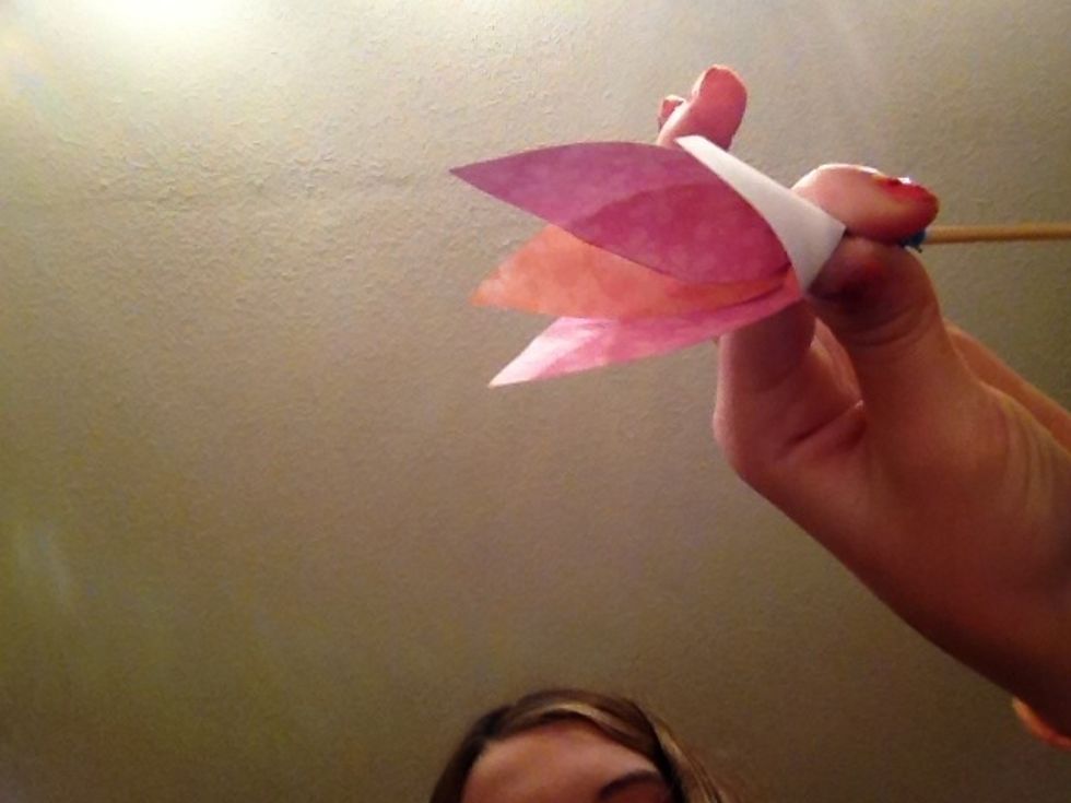 Do your other petals