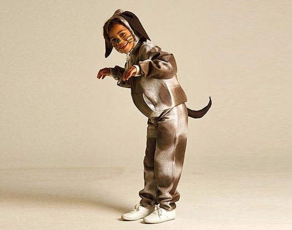 Dog Costume