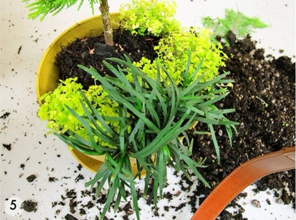 Don't be afraid to divide plants into smaller segments by pulling apart their roots. Remember that in nature things often grow in clusters or groups.