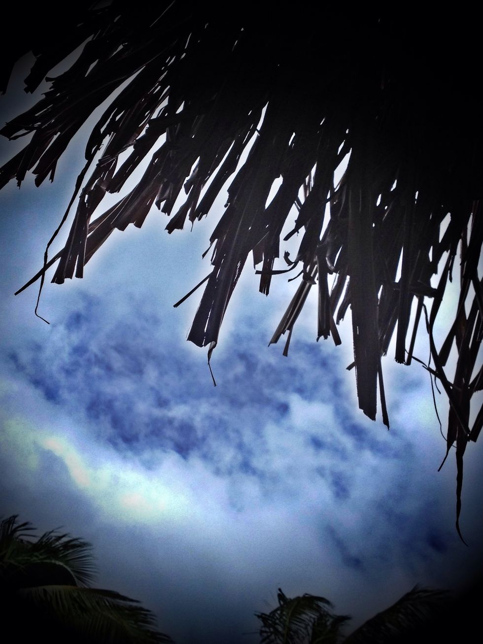 Don't be afraid to edit a bit to make it look a little prettier. But don't overdo it.