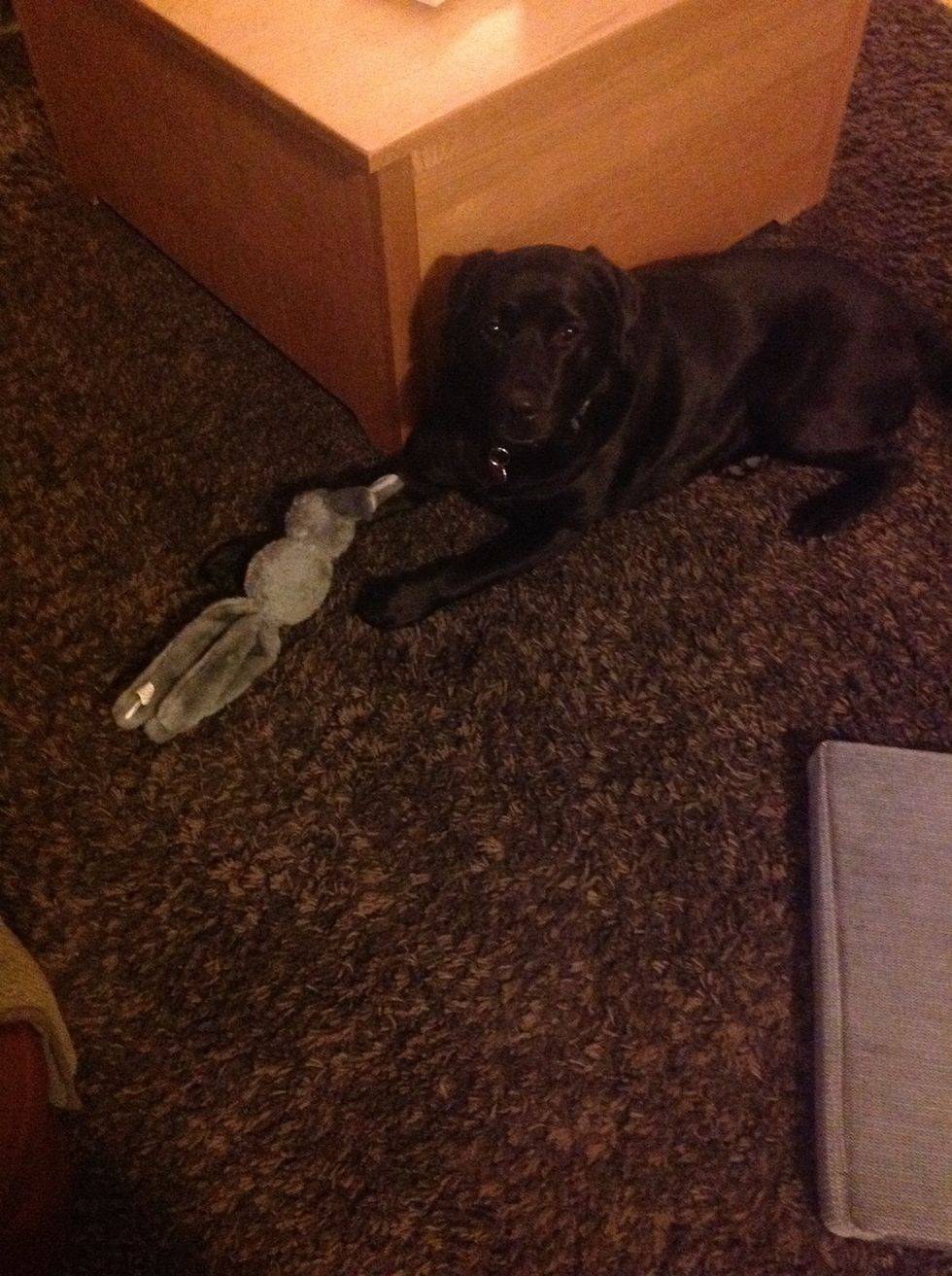 Don't forget the toys!!!