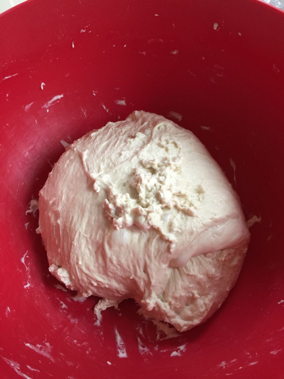Don't over-work the dough, just get it off the sides of the bowl and leave the ball of dough to rise again. It should feel more elastic than the original mix.