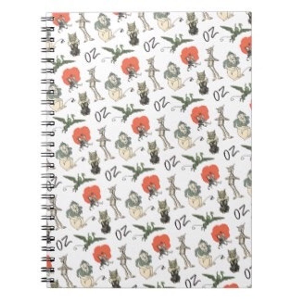 Don't spend more money on character notebooks that have designs! When my family went to target they had a sale where composition notebooks were 25 cents each but the character notebooks were $1 each!