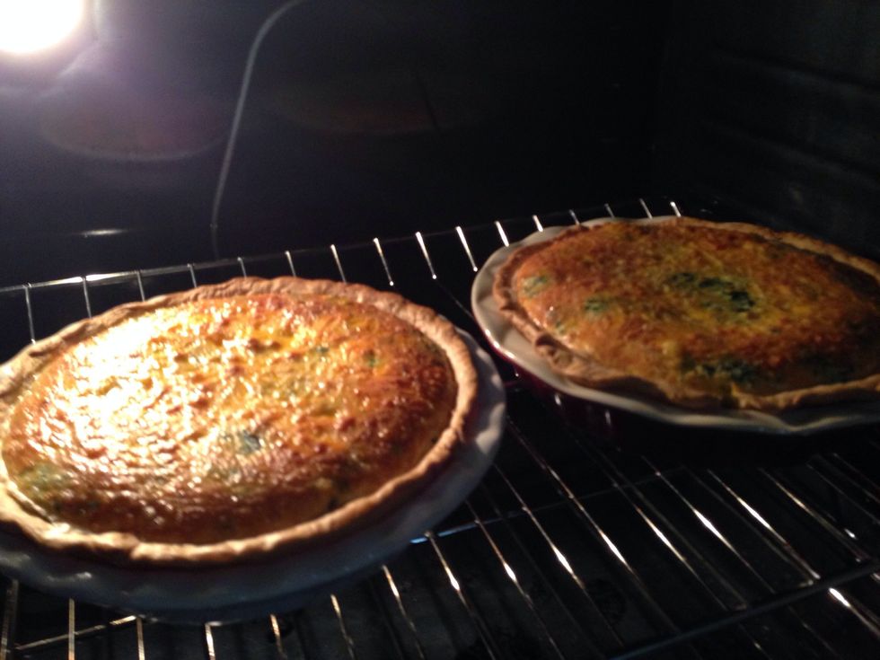 Don't these look delish?! I like for them to be browned nicely if that is to dark for you cover them loosely with foil and take it off with about 15 minutes to go. The center should be set, no jiggle!