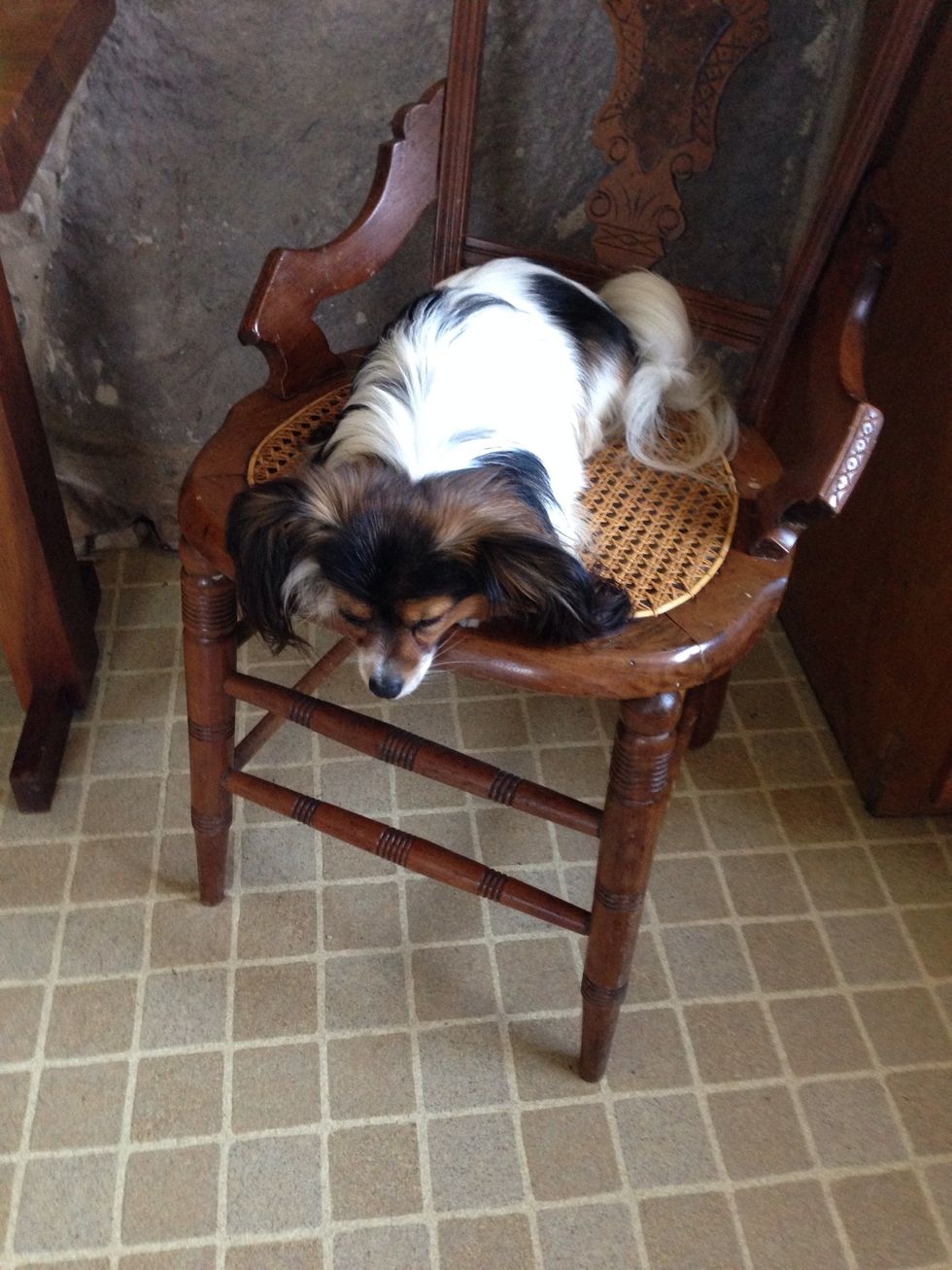 Don't they know how hungry I am?