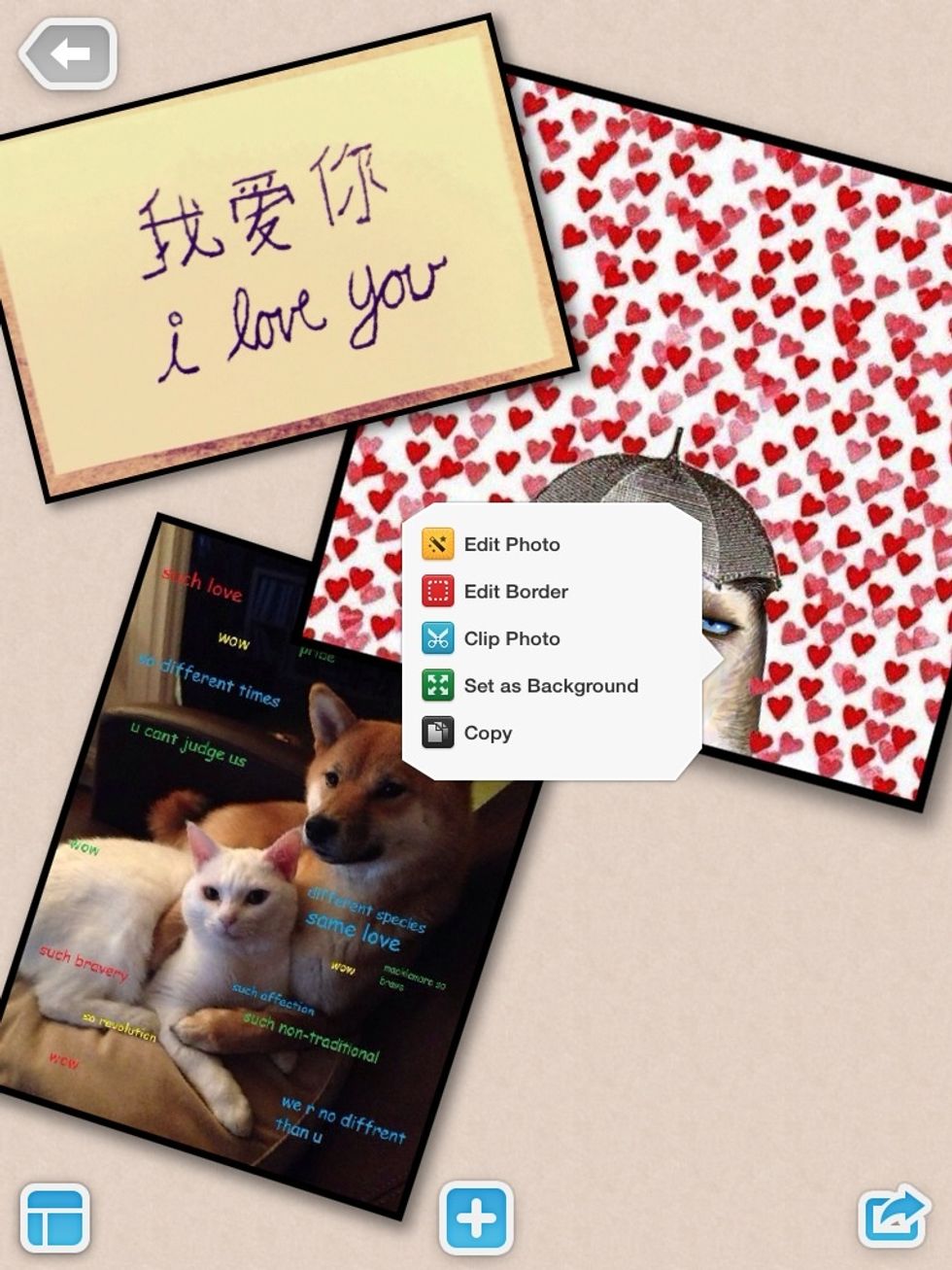 Double tap to pull up the menu for the picture