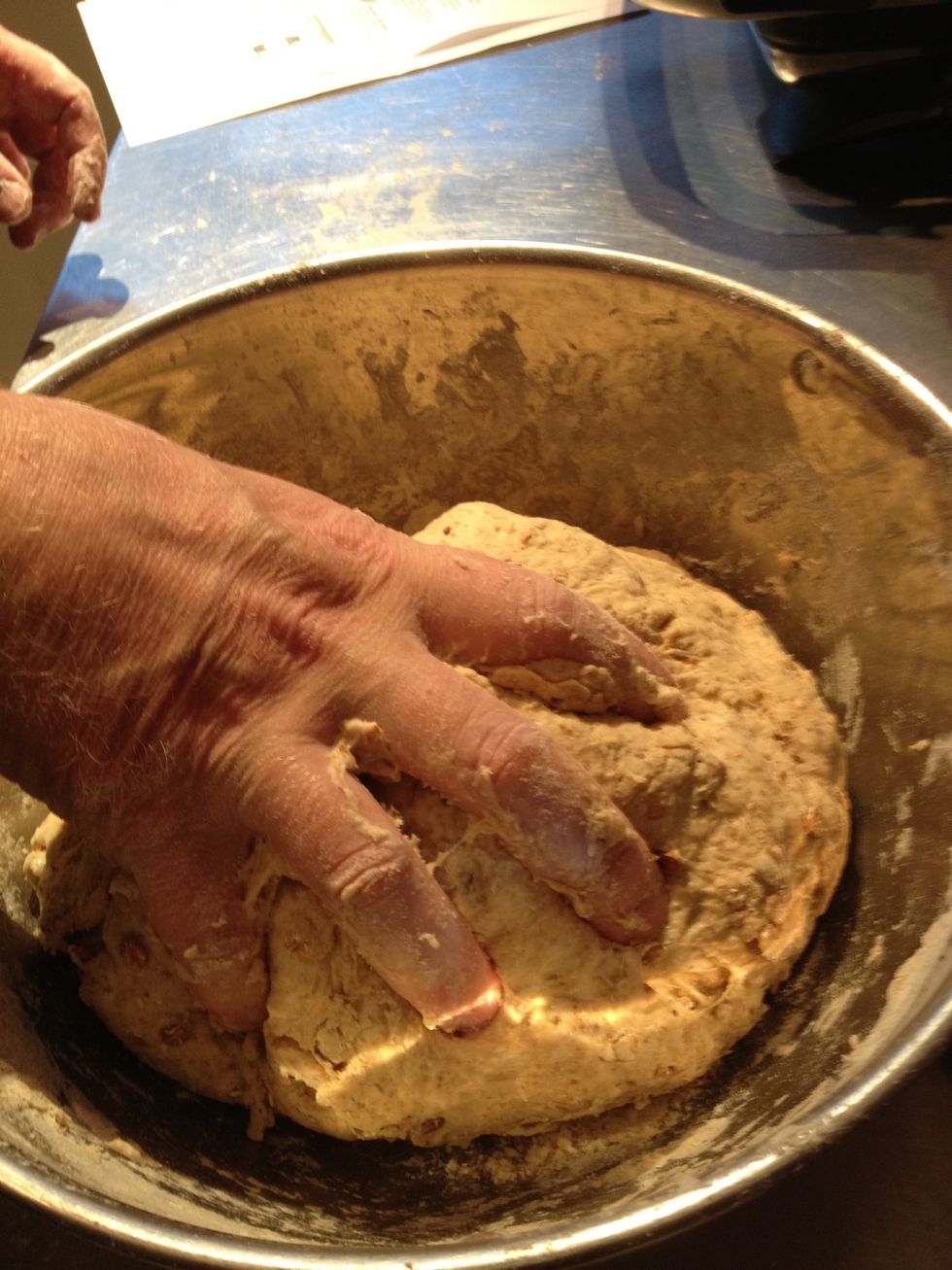 Dough comes together with enough water to pick all the flour from the bottom of the bowl. You might need to add a drop more of tepid water.