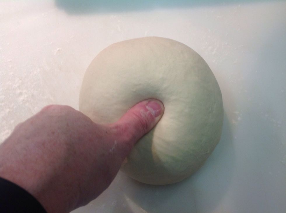 Dough should be smooth & will spring back when you press down on it. Clean out your mixing bowl, lightly oil it with veg oil, and put dough back in bowl.