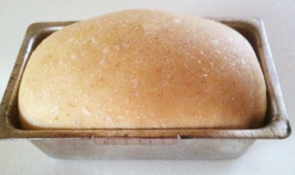 Dough should have risen a few inches above the edge of the pan. Heat oven for a few minutes before putting the loaf into the oven to bake.  Bake at temperature recommended by the recipe.