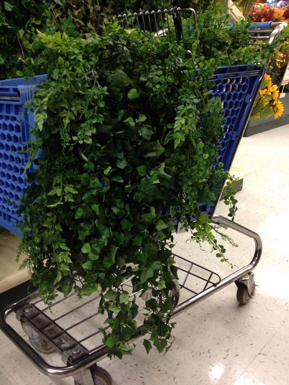 Drape looped end to the left edge of the array. Wire in place.