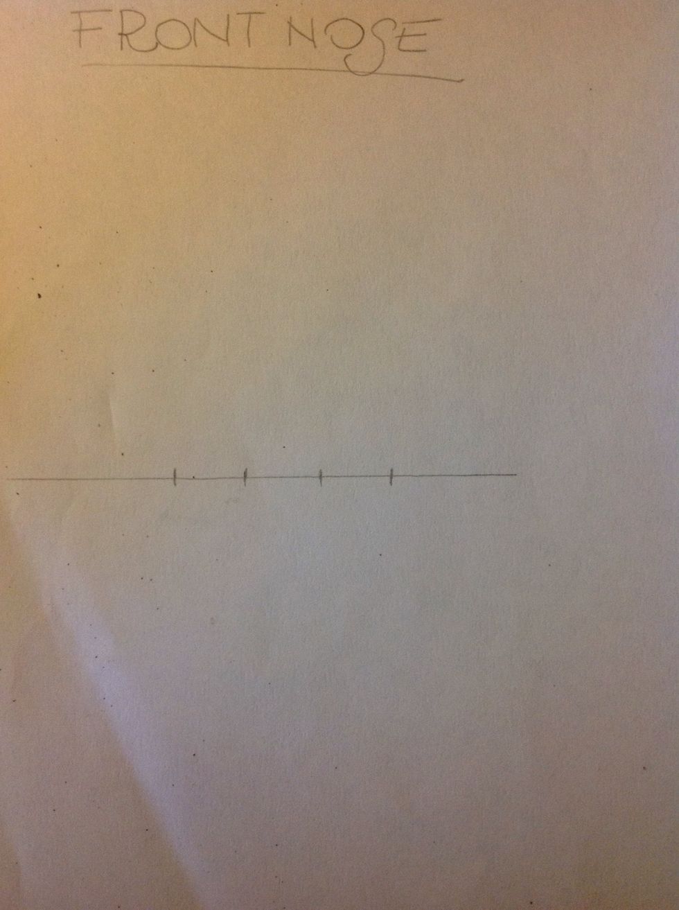 Draw 3 equals parts in the line. This marks are the width of the nose that have the size of an eye (approximately)