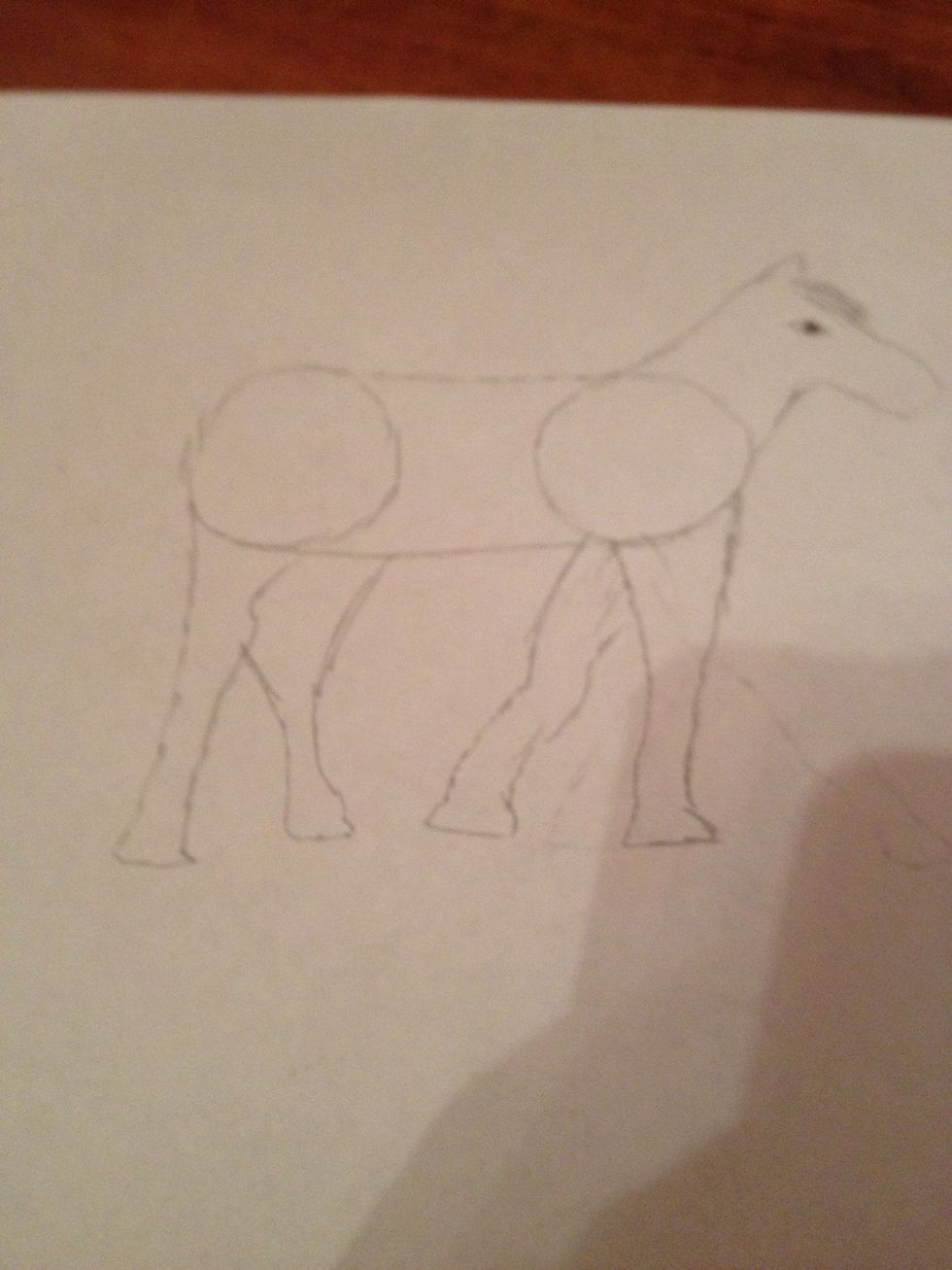 Draw 4 legs