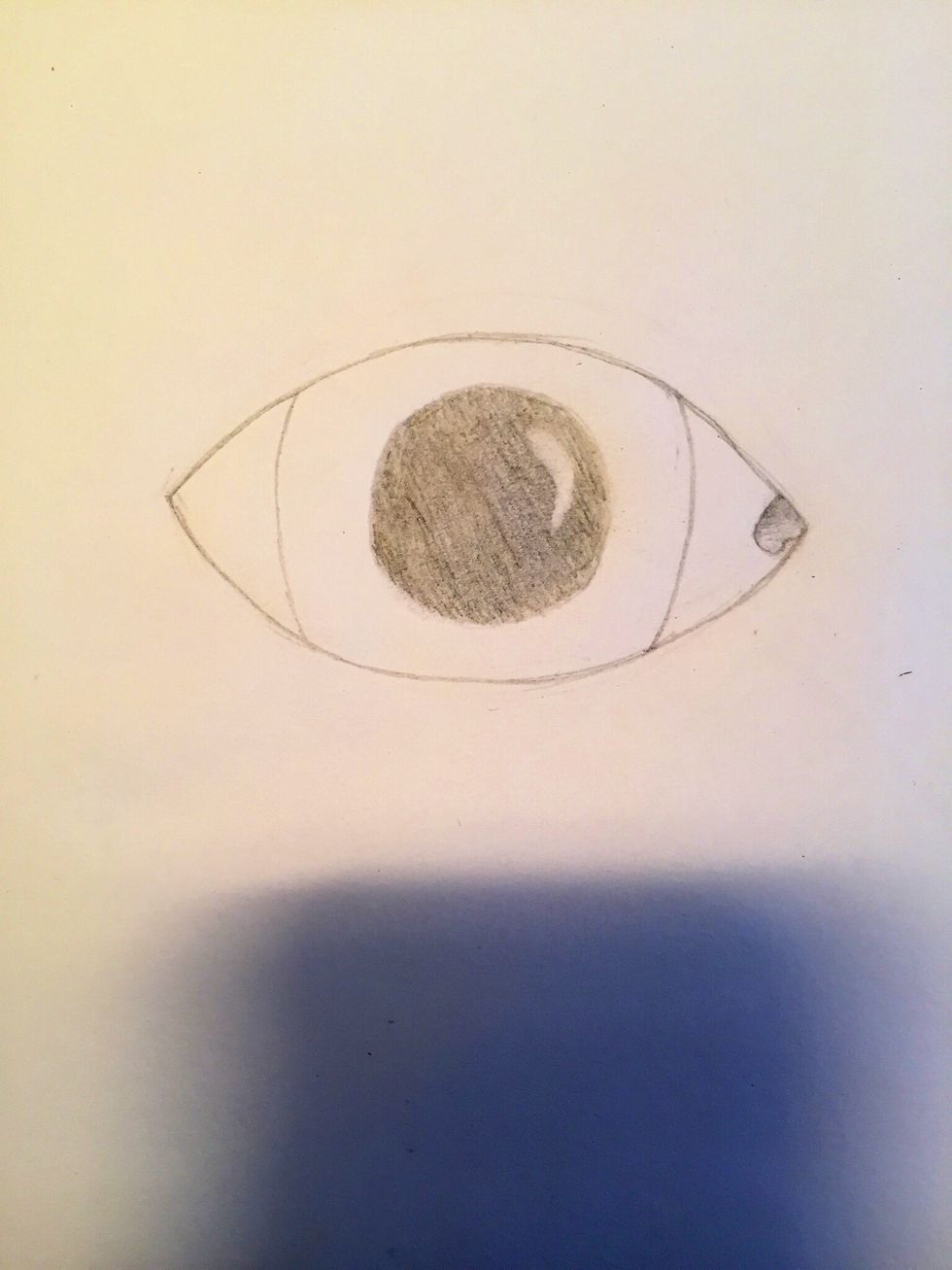Draw a circle in the center of the iris, and shade it in. This is the pupil. I recommend using a darker graphite for shading, at least 2B. Next, blend it with your fingers.