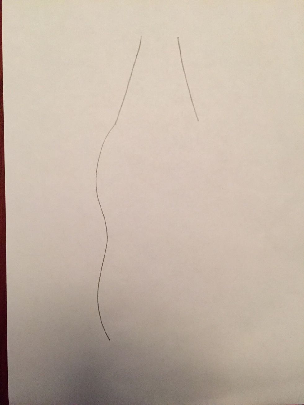 Draw a line for the left side of your bottle. It can be curvy like mine or more straight. There are all kinds of bottles!
