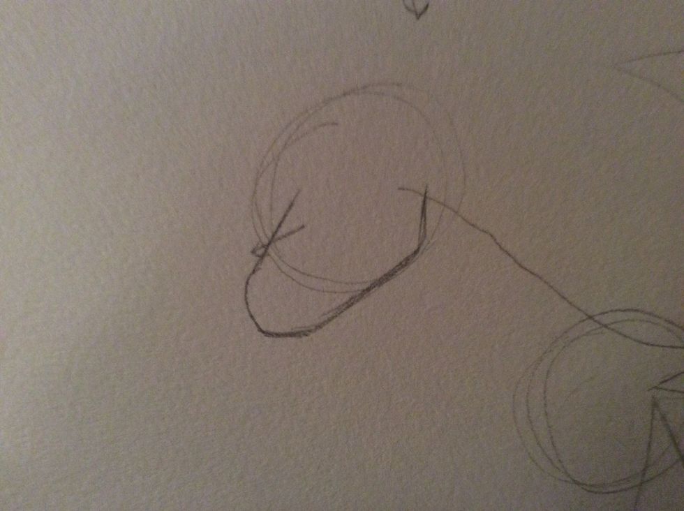 Draw a slightly curved line for the snout