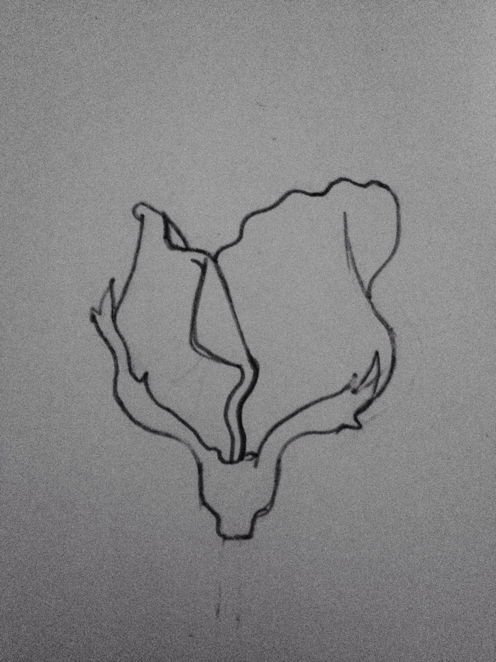 Draw a squiggly line from the top of the right petal to the top of the left petal like this.