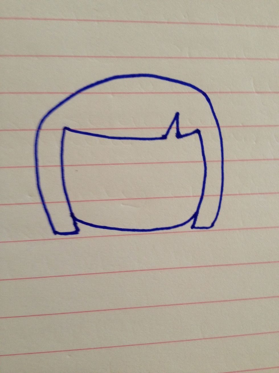 Draw another curved line at the bottom of the hair. This will be the outline of the face