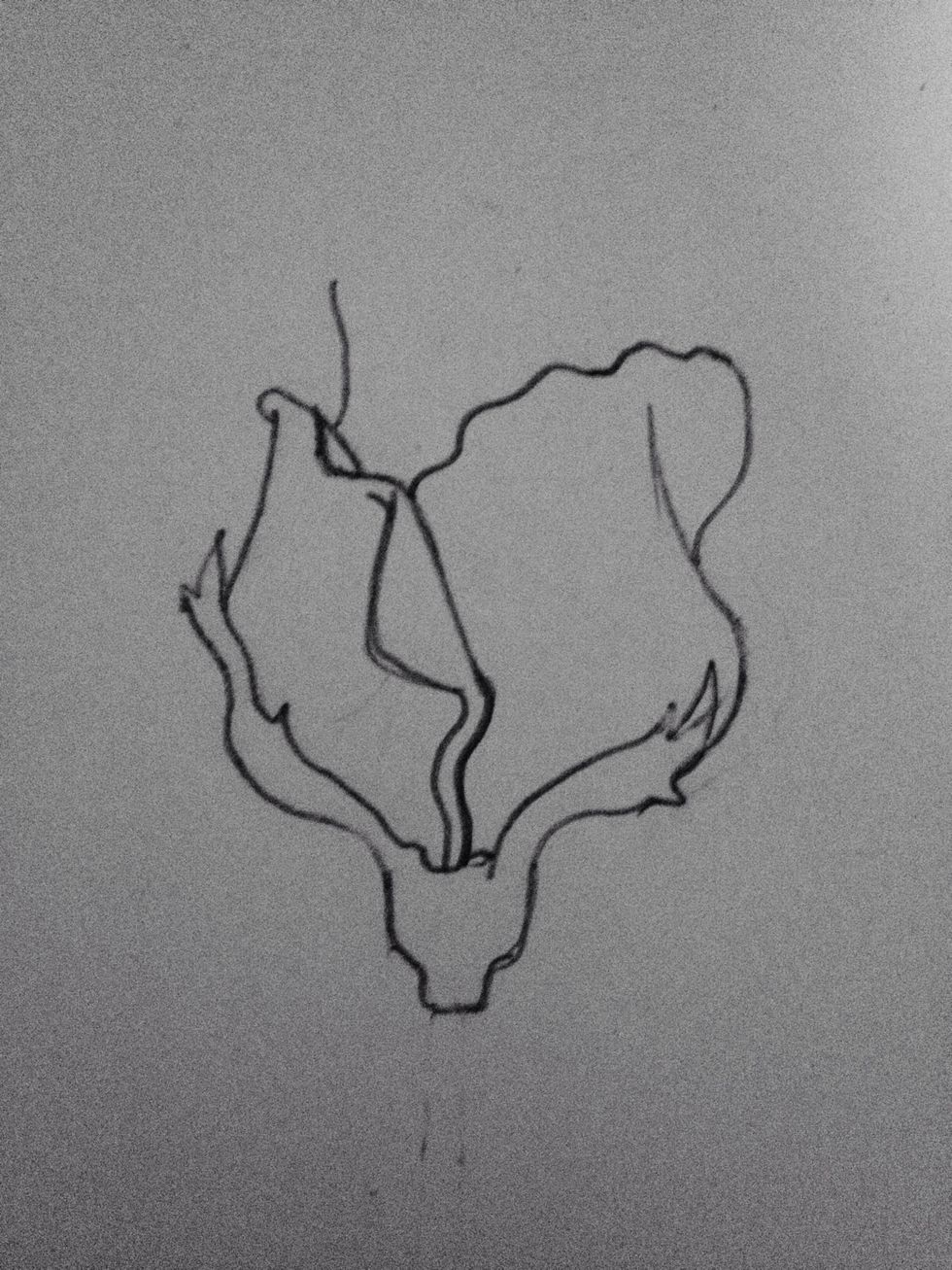 Draw another petal-line from the left upwards like this.