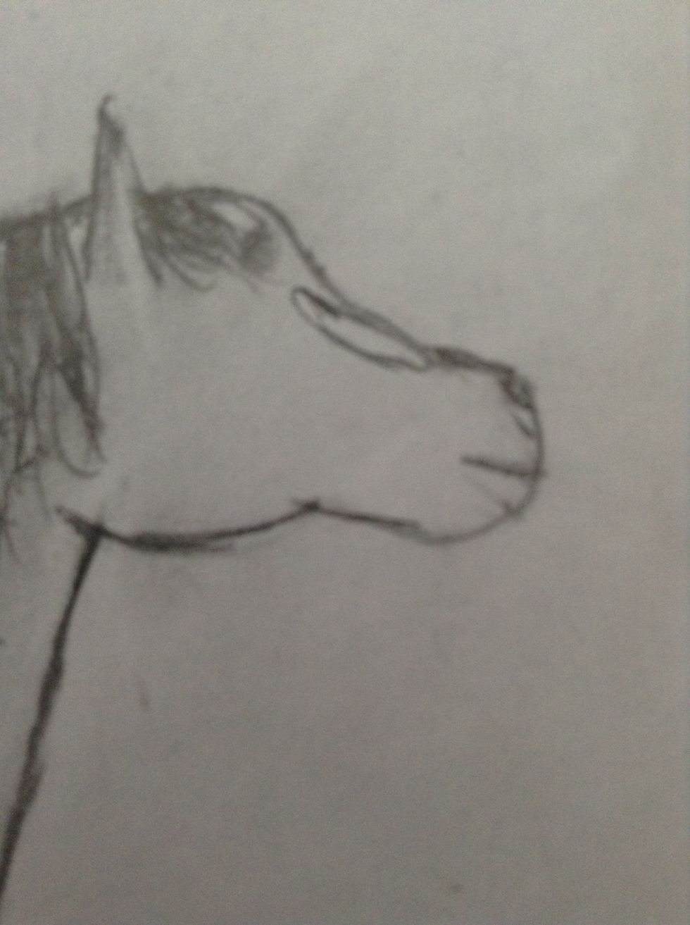 Draw facial markings (optional)