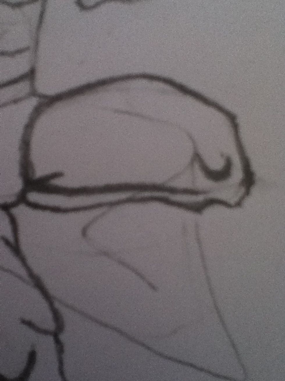 Draw in some muscle lines with an upside down c for the knee