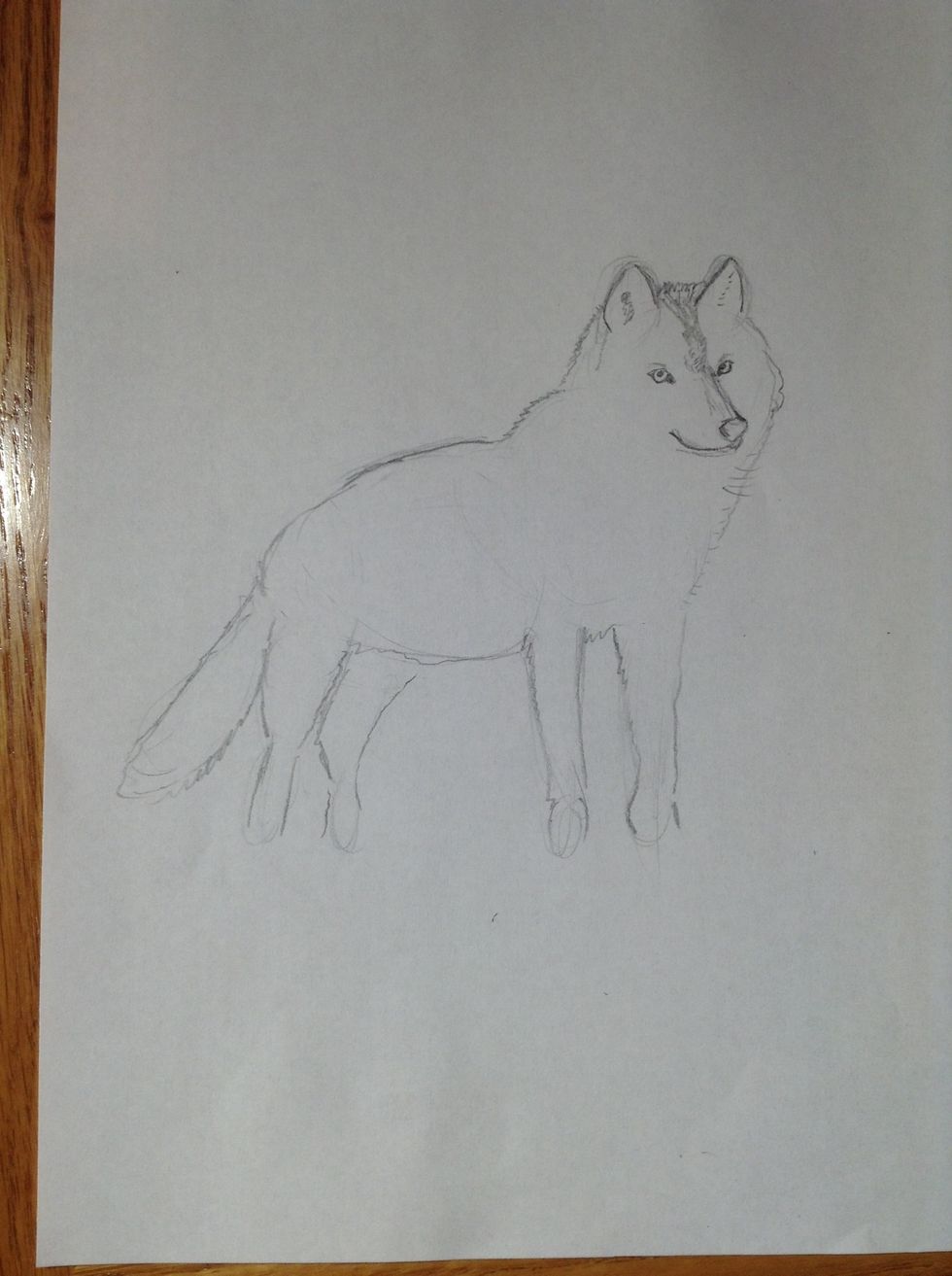 Draw in the facial features.