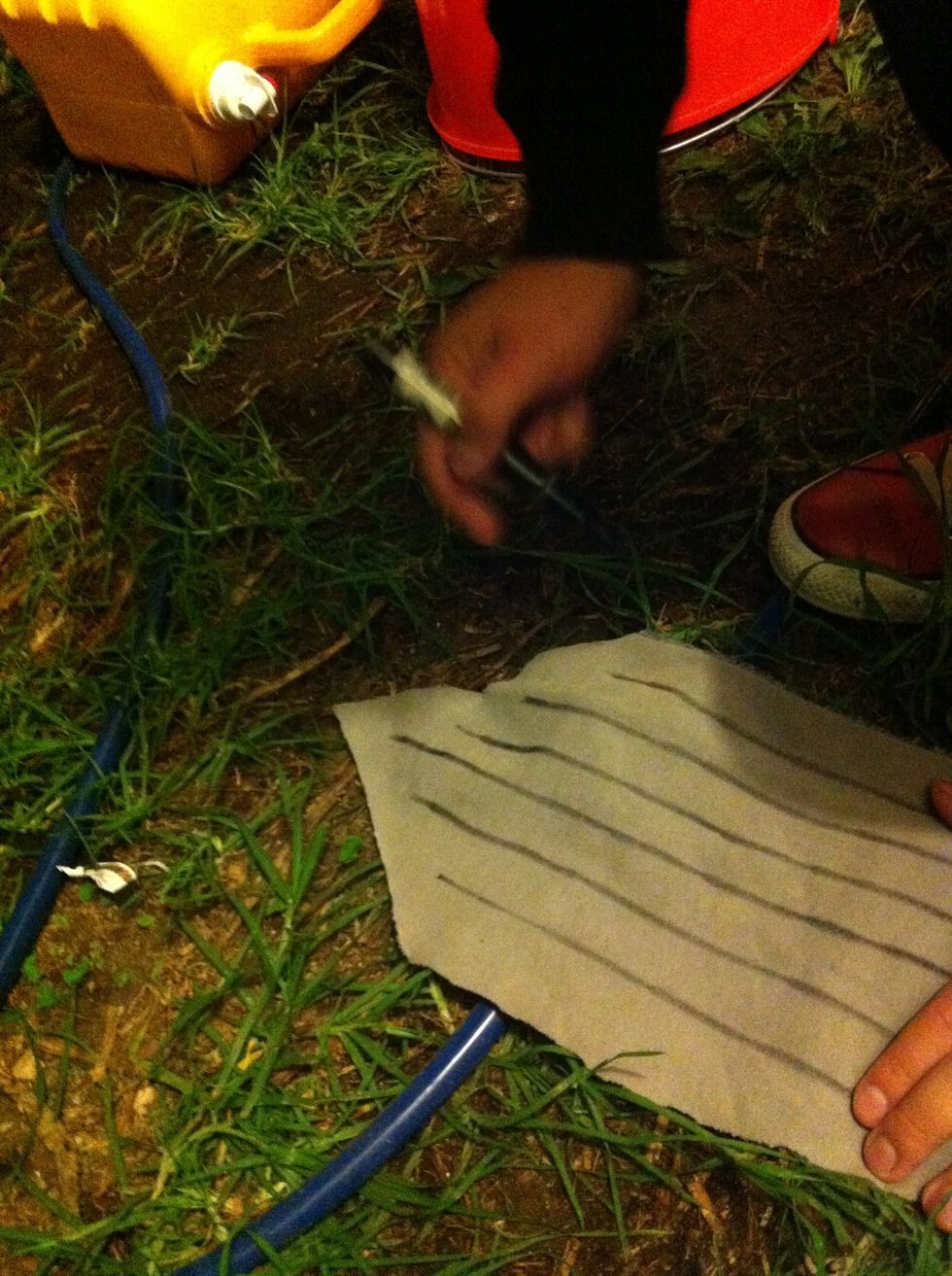 Draw lines to divide the fabric in 6 stripes. (We have 6 plants to water)