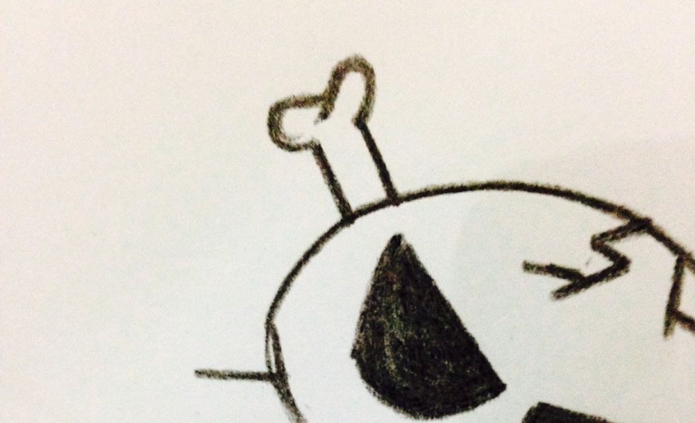 Draw little curved lines for the ends of the bones.