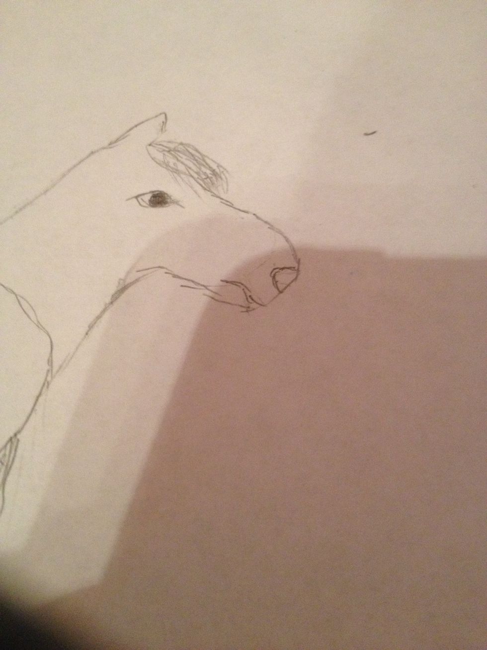 Draw nose and mouth