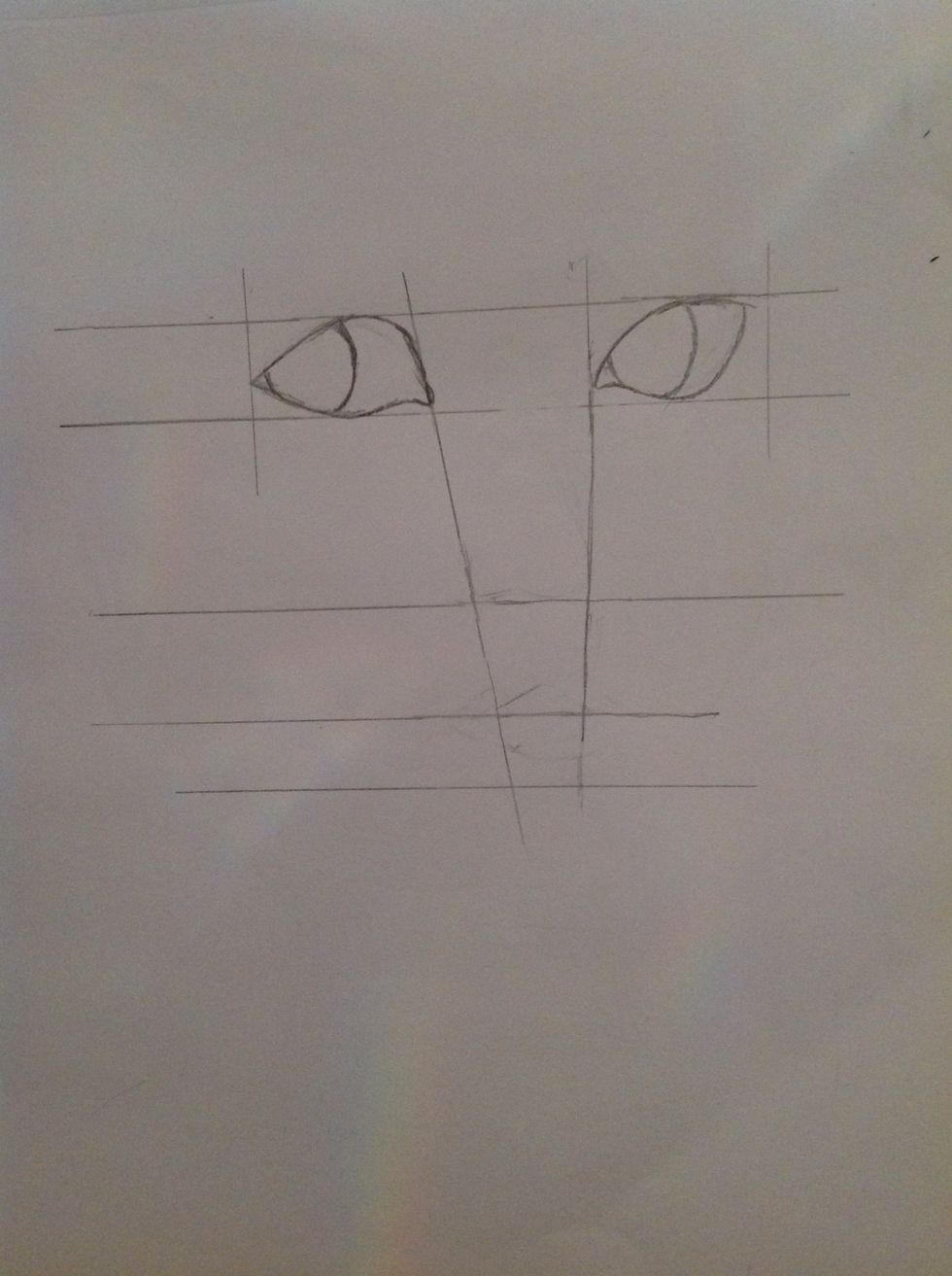 Draw on circle inside each eye.