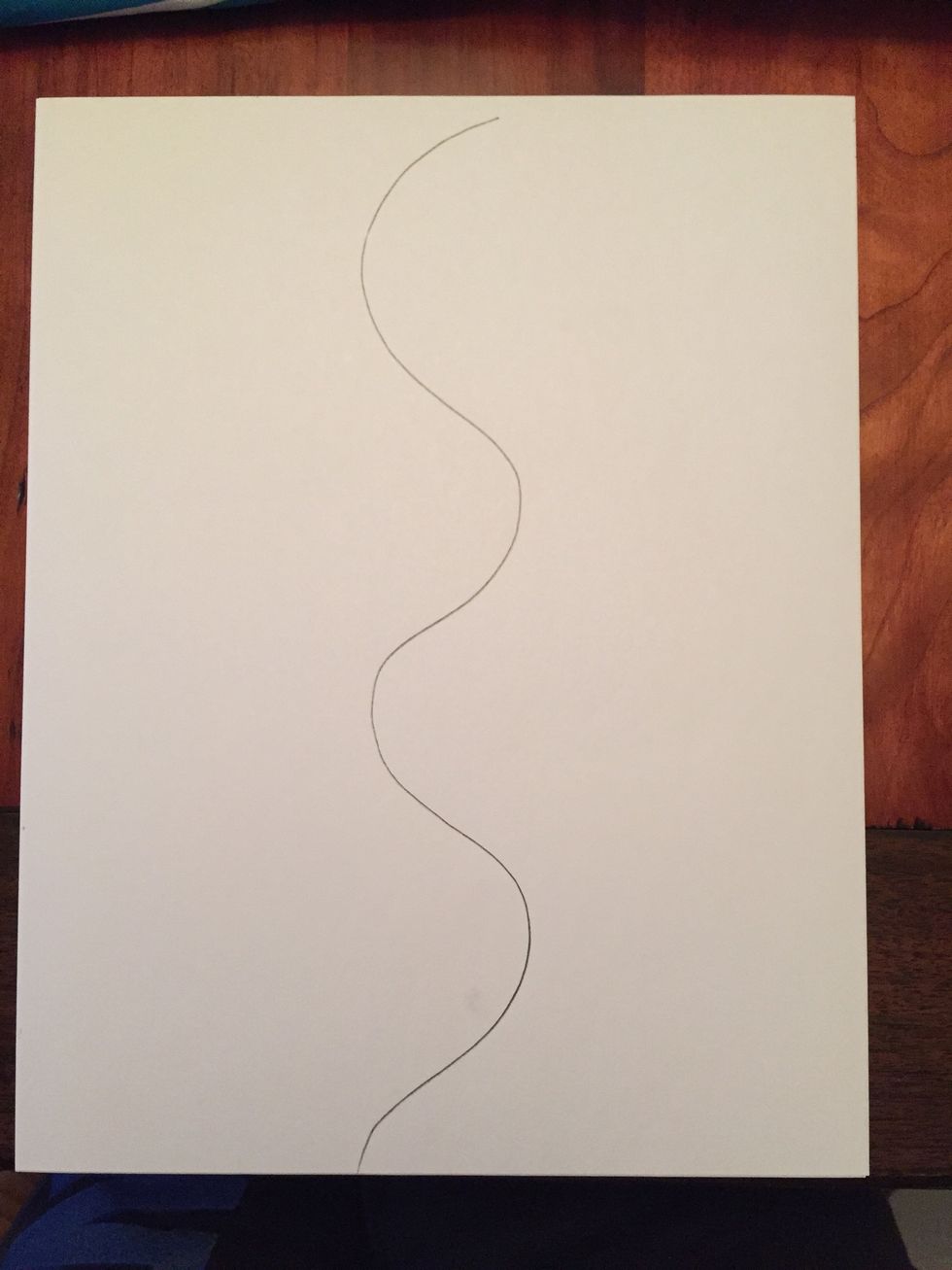 Draw one wavy line down the center of your paper (hold your paper portrait-longways up and down). Your line needs to have at least 4 bumps. See photo.