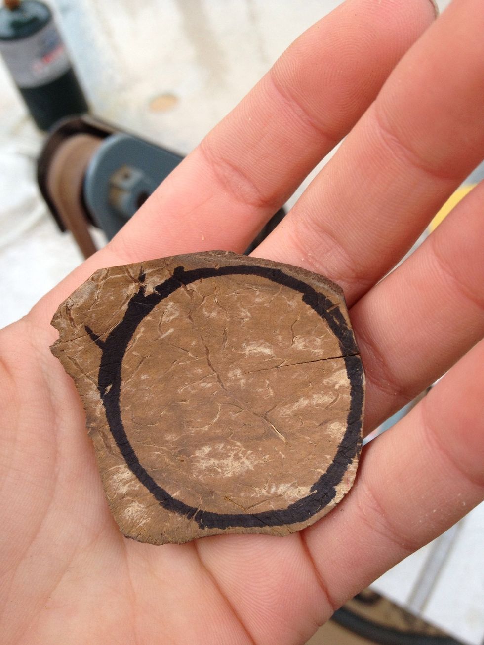 Draw or trace any shape you want onto the back of the shell. I wanted mine to be simple, so I just did a circle.