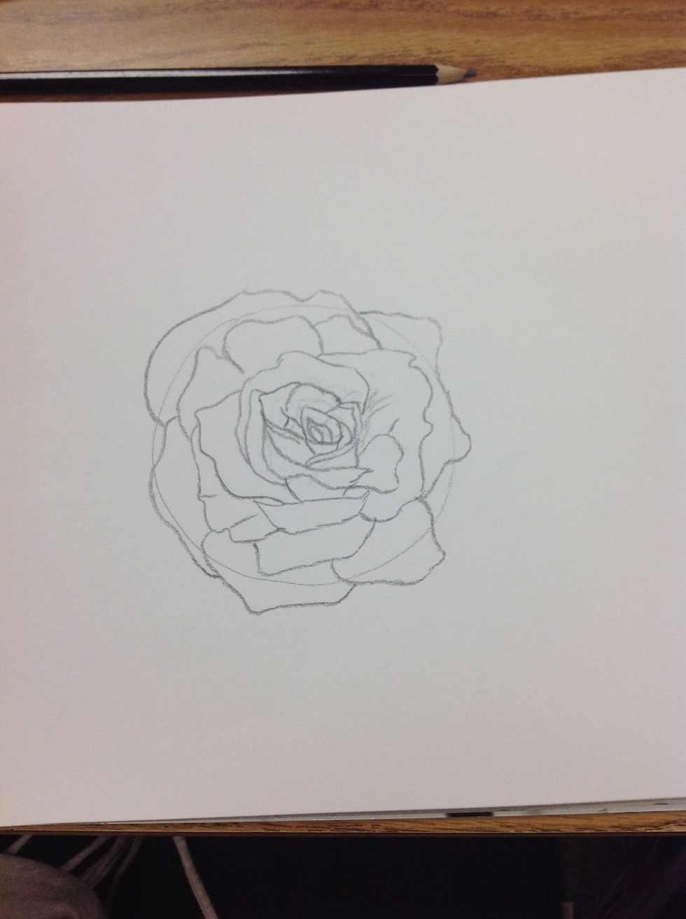 Draw organic (no specific shape) petals throughout the rose. (Pencil) Remember there is no "wrong" shape for a petal.