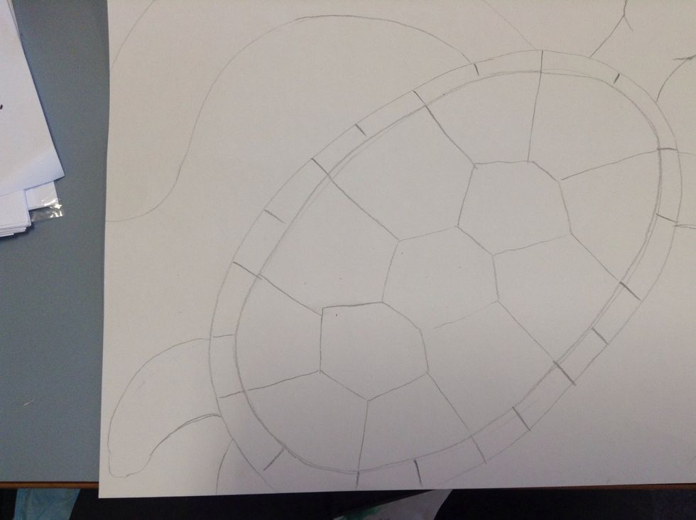 Draw smaller flippers and a tail at the bottom of the shell if you have space.