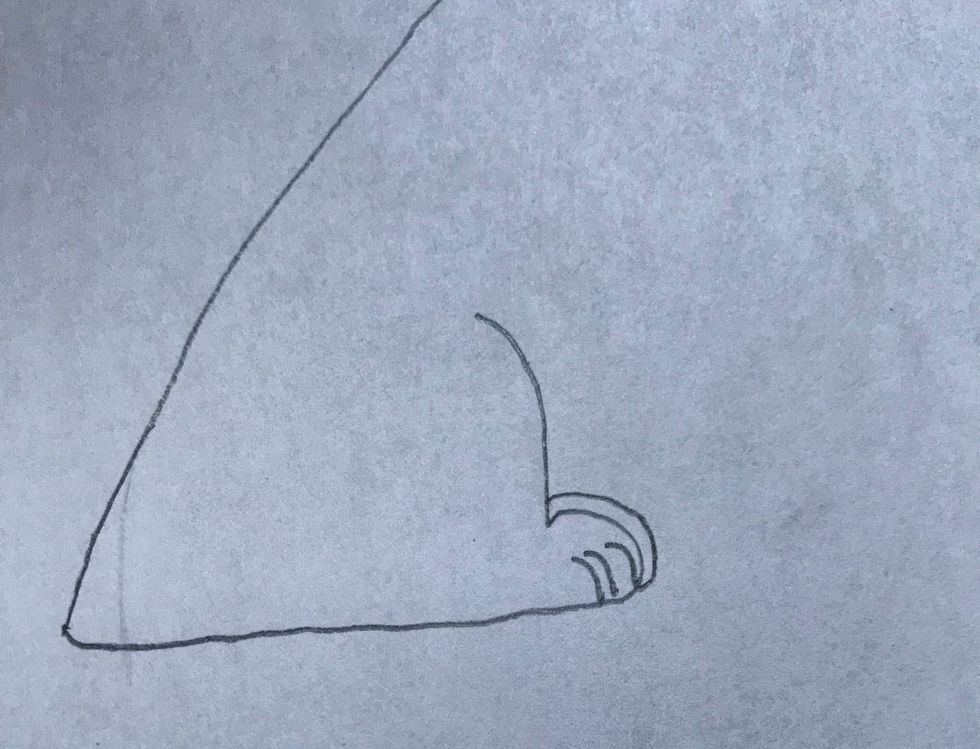 Draw the back legs make sure no add the paw detail