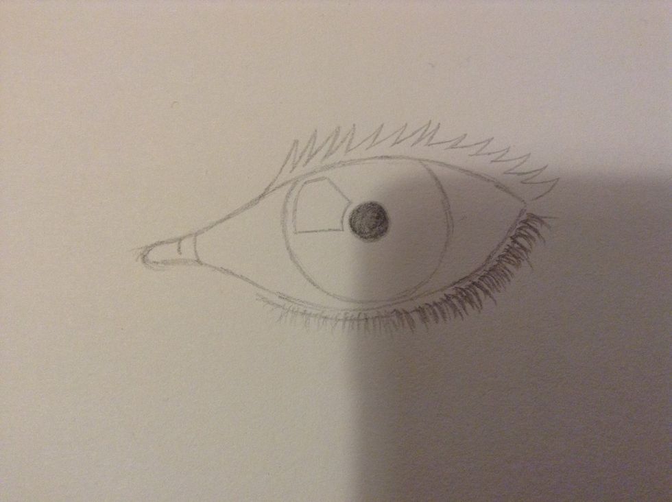 Draw the bottom eyelashes