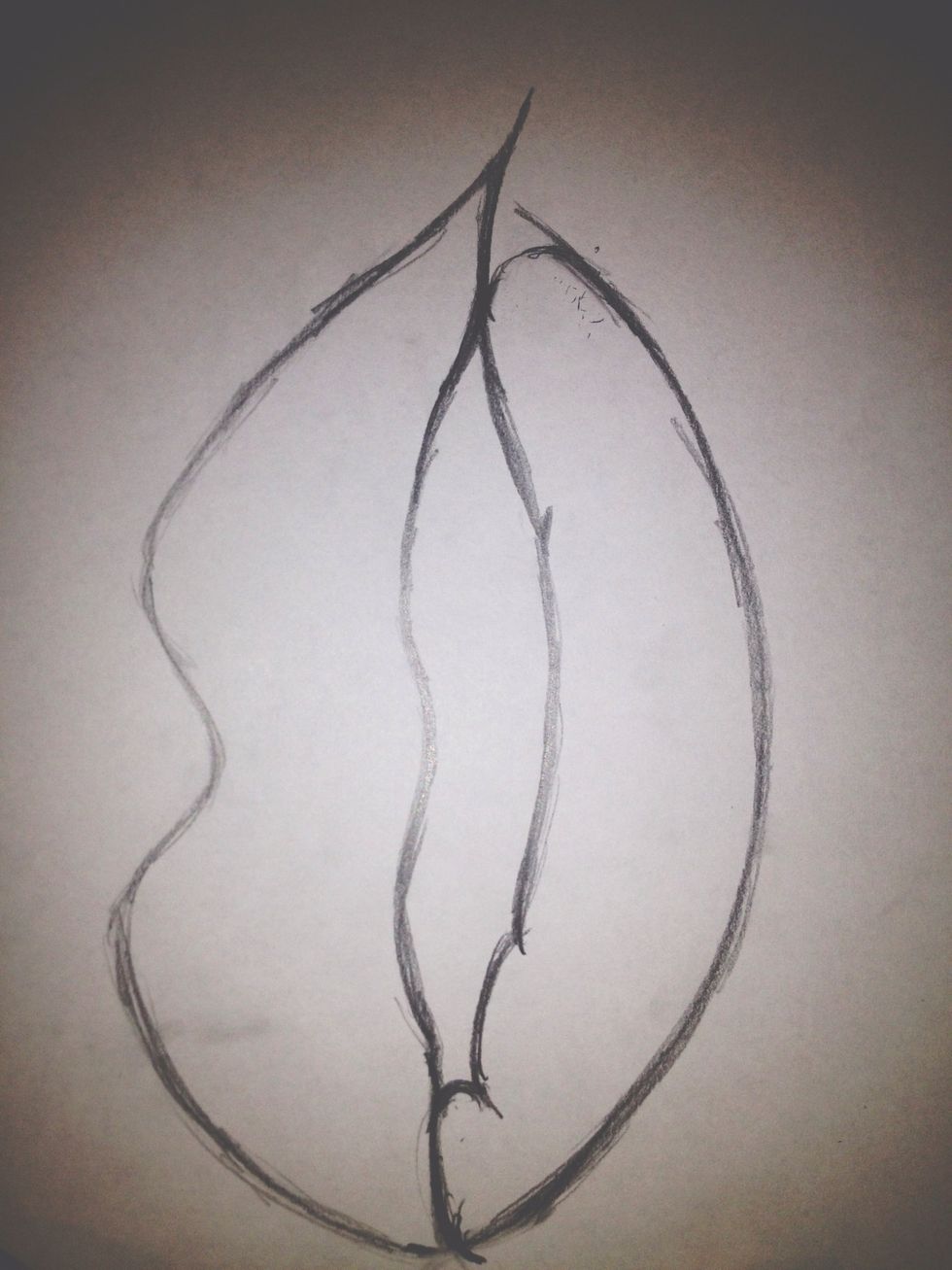 draw the bottom part of the lip, which is like half of an oval.