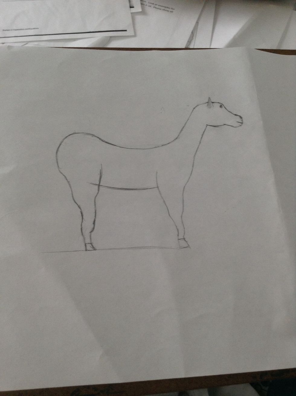 Draw the butt