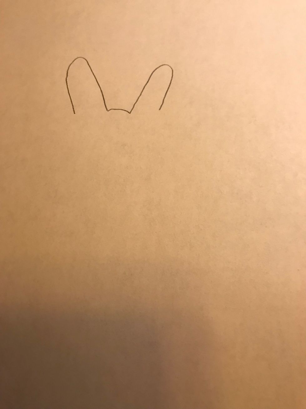 Draw the ears as shown