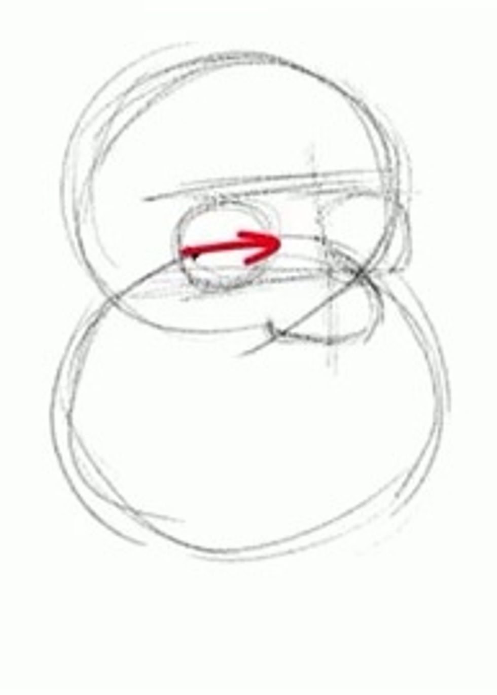 Draw the eyelids across each eyeball.